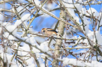 Schloßweiher Ellwangen